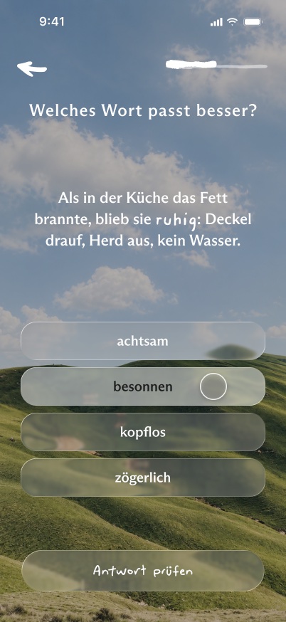 Welches Wort passt besser